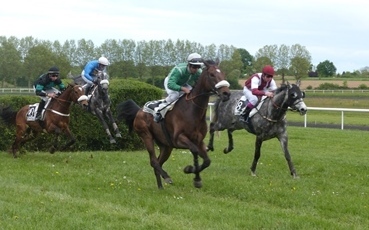 Course hippique - 28 avril 2014