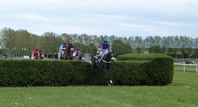 Course hippique - 28 avril 2014